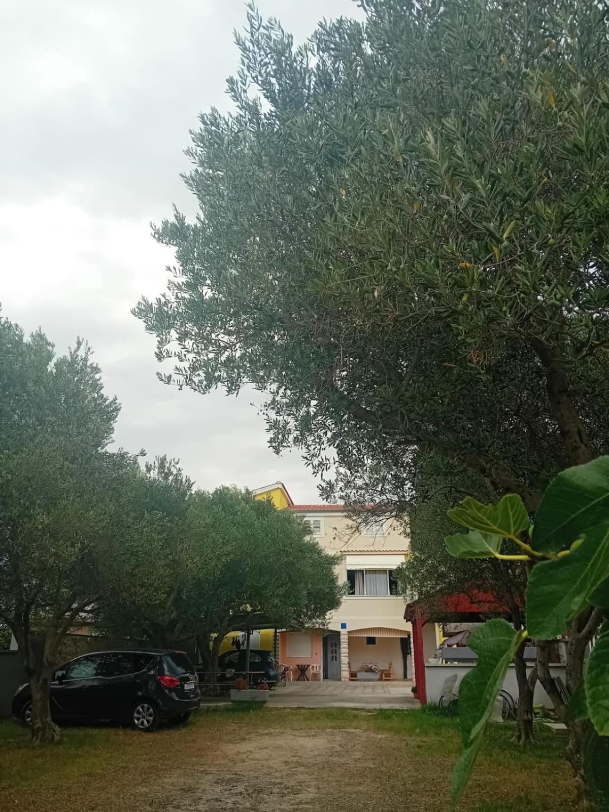 Apartmani A&N Bibinje Exterior photo